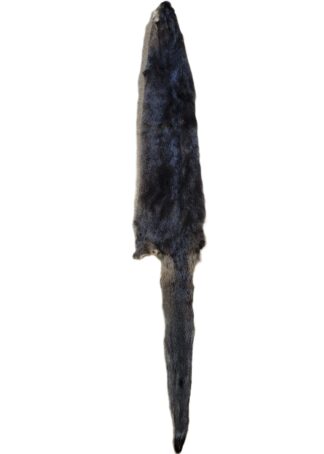 Otter Skin without Feet - 45"-50" long