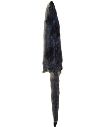 Otter Skin without Feet - 50"-55" Long