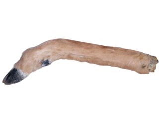 Deer Leg with Hair & Hoof - "L" Shaped