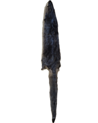Otter Skin without Feet - 45"-50" long