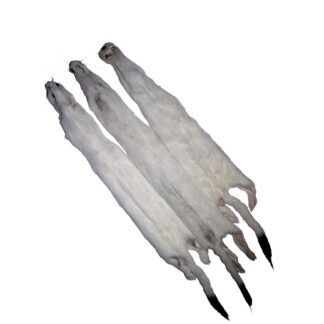 Ermine
