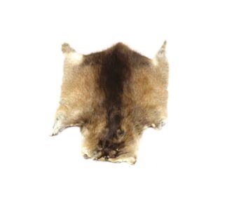 Muskrat Fur