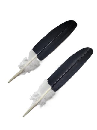 bald eagle wing feather (imitation)