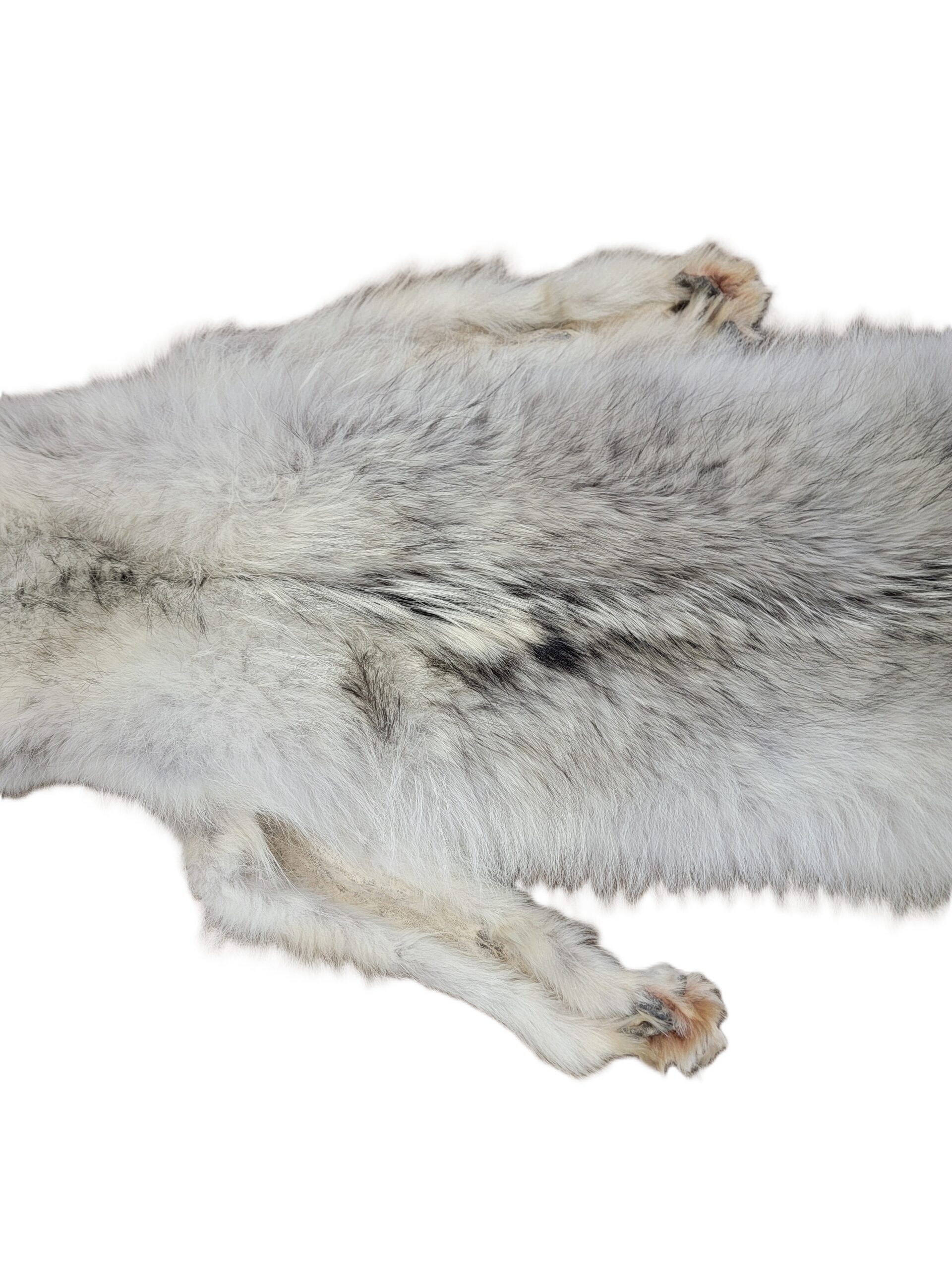 White Wolf XLG - Hair on hide - Image 6