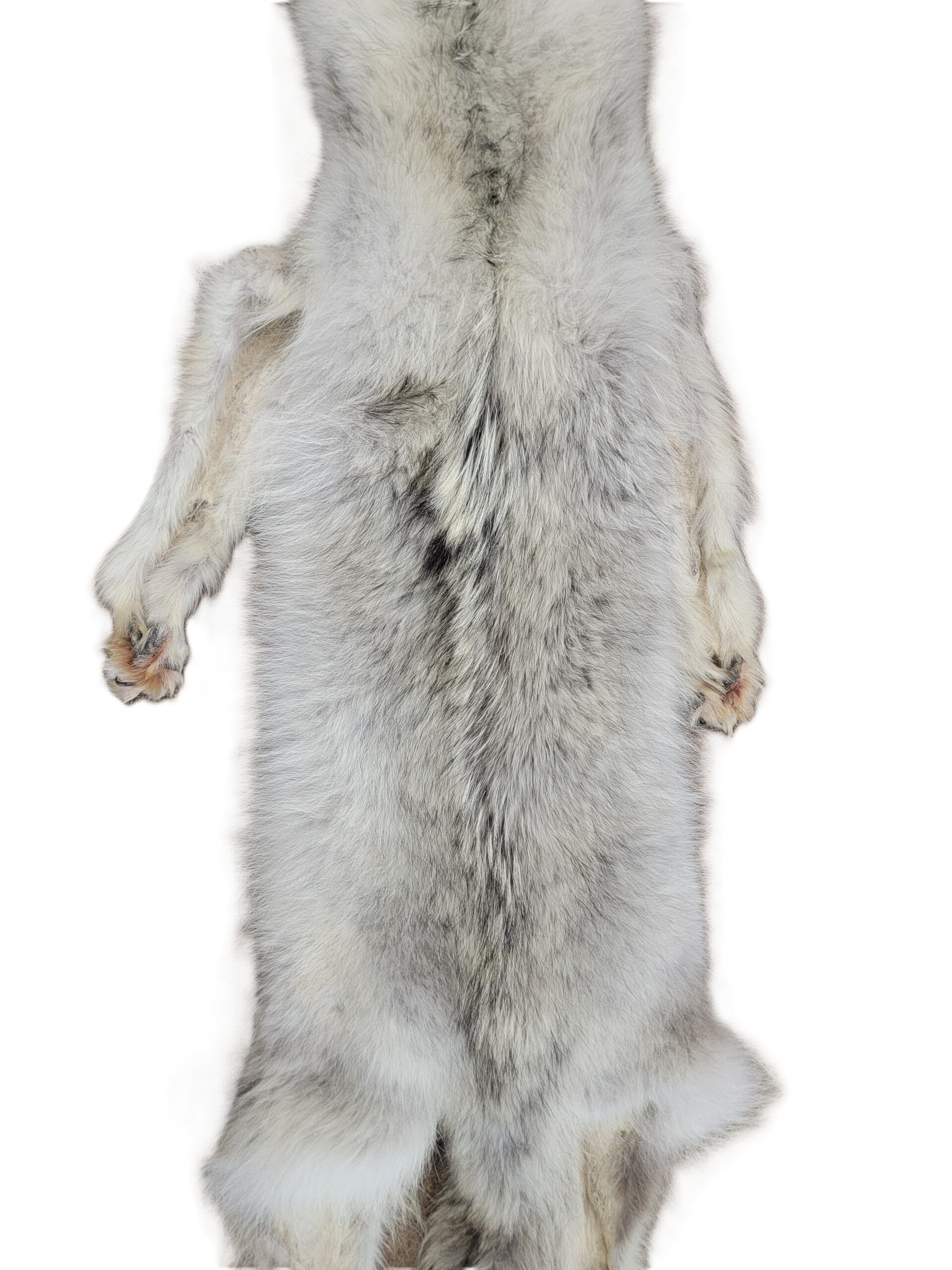 White Wolf XLG - Hair on hide - Image 3