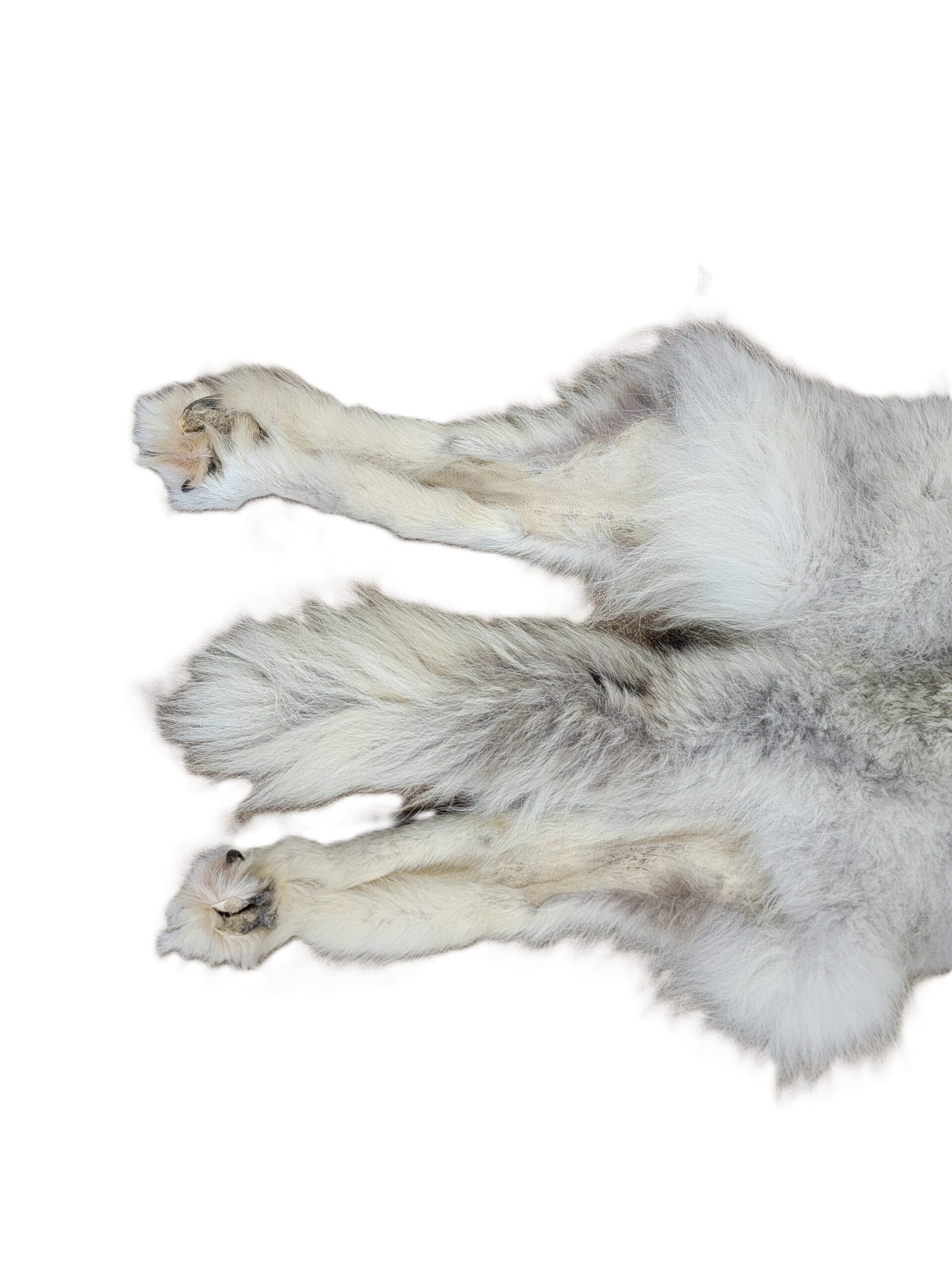 White Wolf XLG - Hair on hide - Image 5