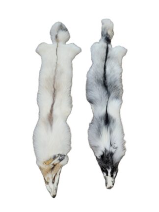 Artic Brown or Black Marble Fox - Full Cased Tanned Hide