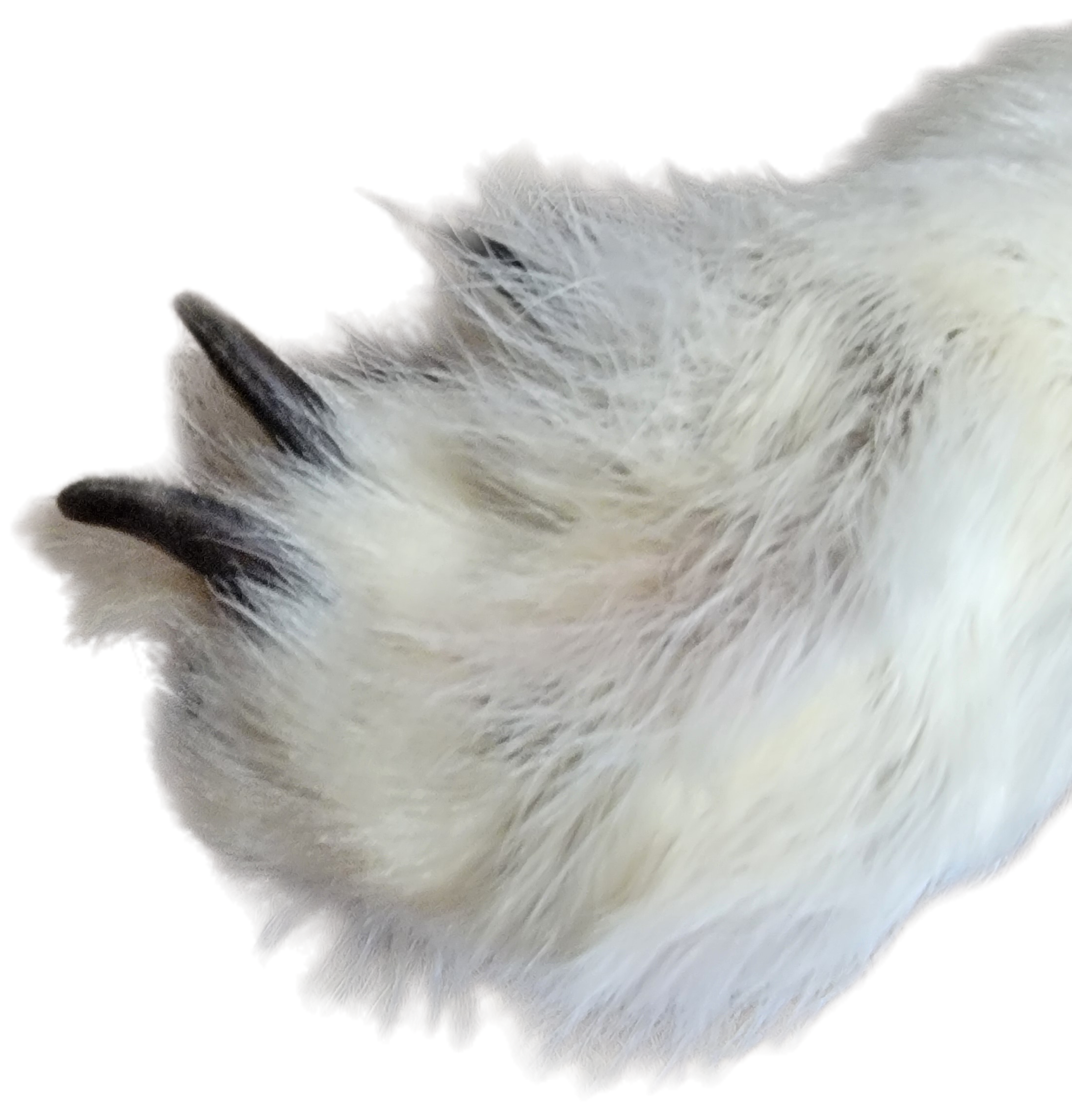 White Wolf XLG - Hair on hide - Image 4