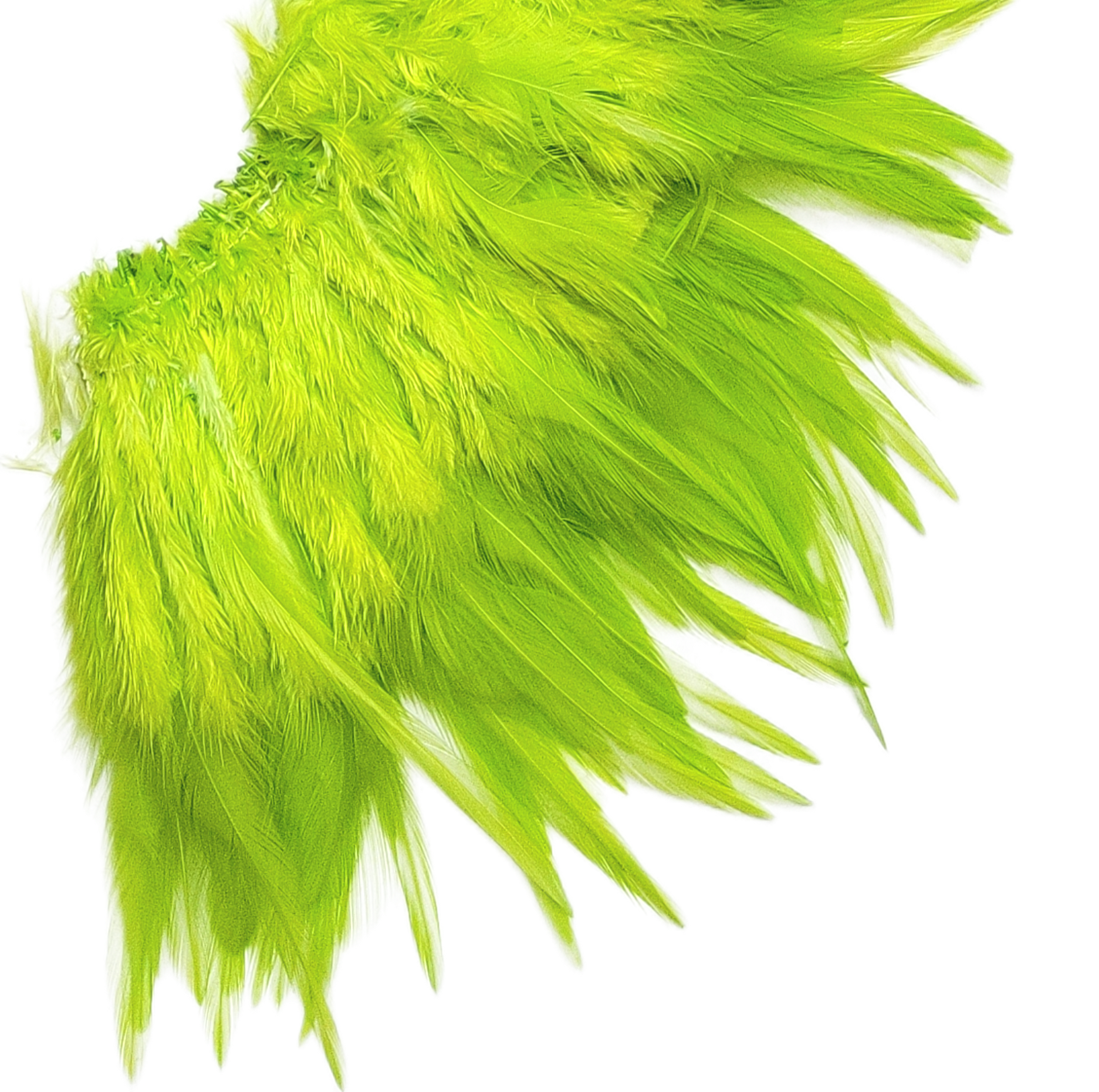 5-6" Lime Green light bright hackles - Image 2