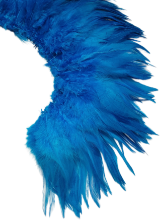 5-6" Turquoise light bright hackles