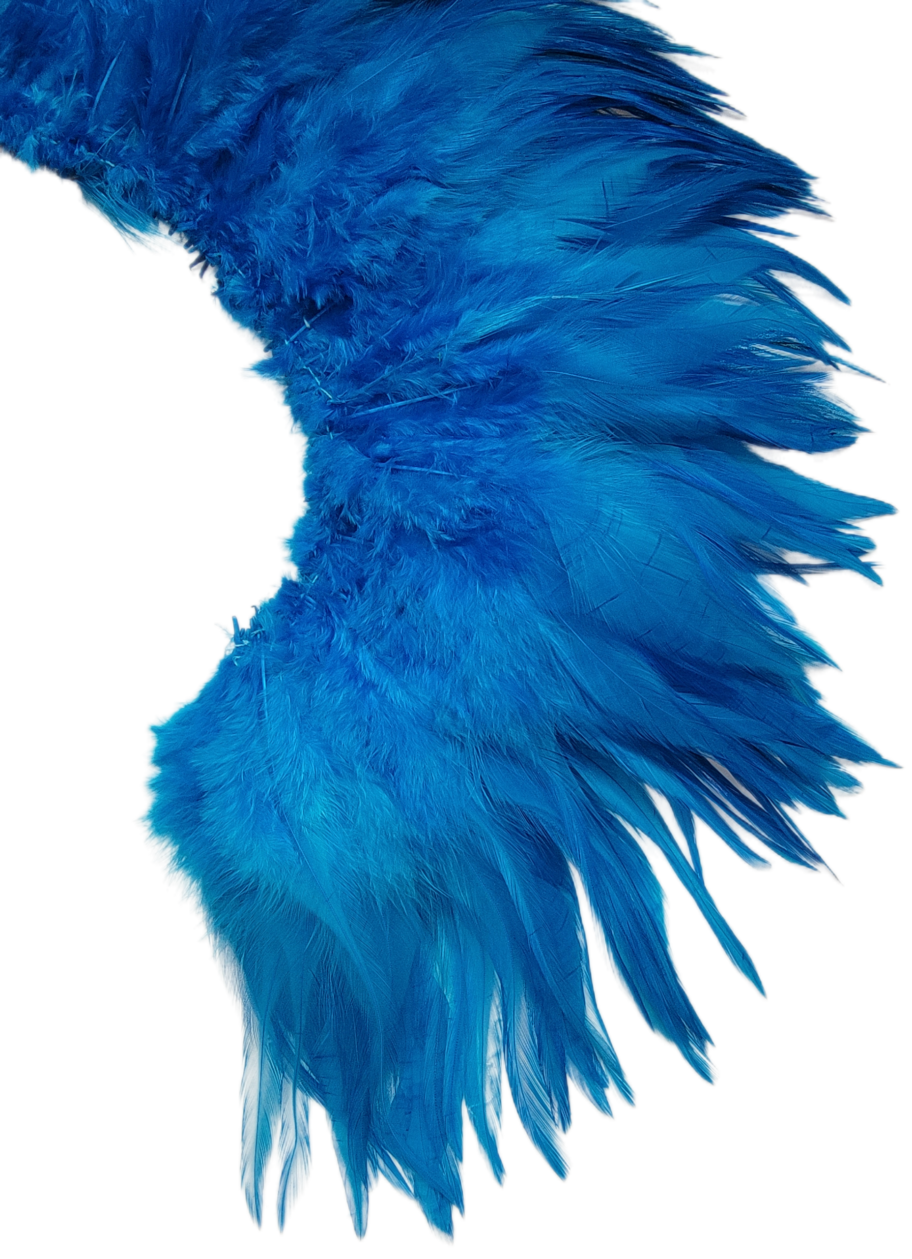 5-6" Turquoise light bright hackles