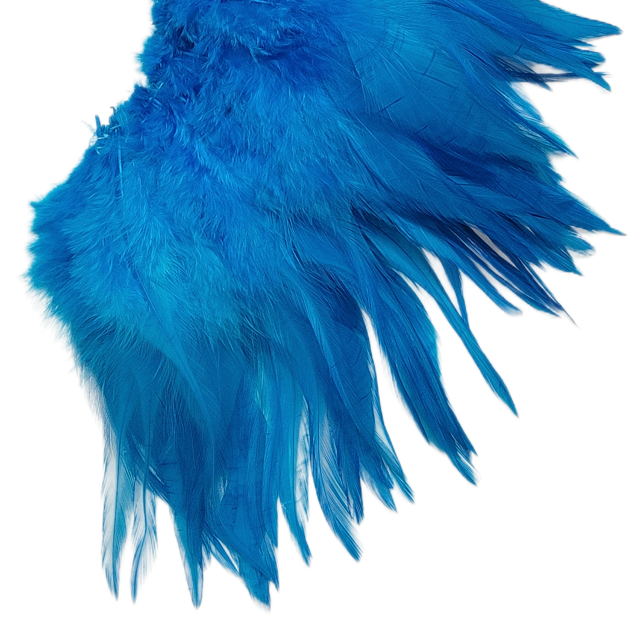 5-6" Turquoise light bright hackles - Image 2